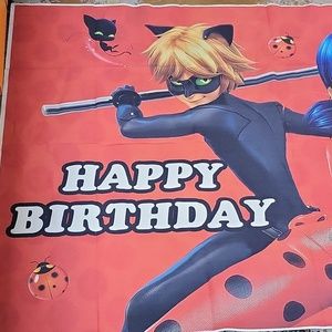 Ladybug Bday banner xlarge